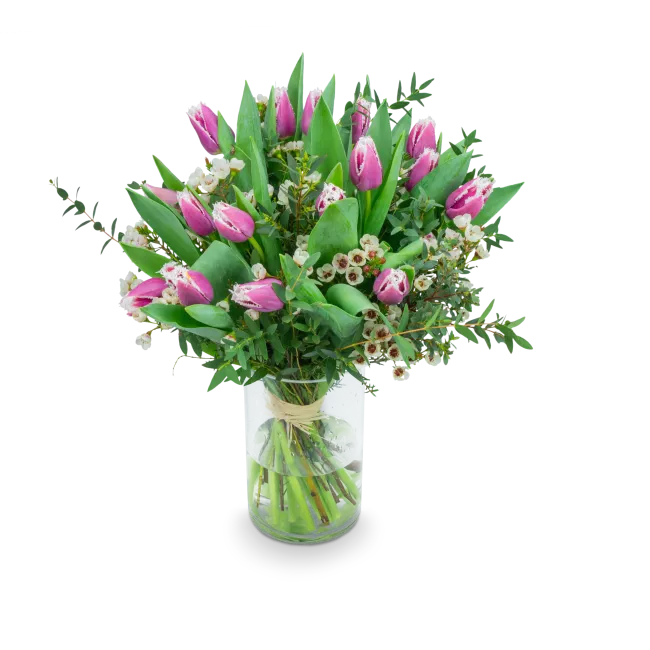 Kytice prémiových tulipánů